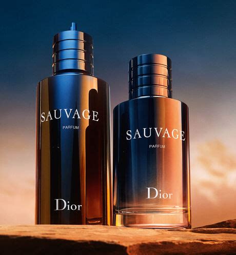 dior sauvage ricarica|dior cologne perfume.